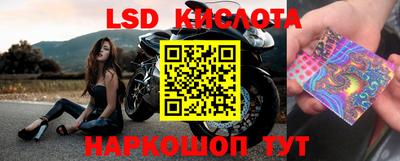 jwh Будённовск