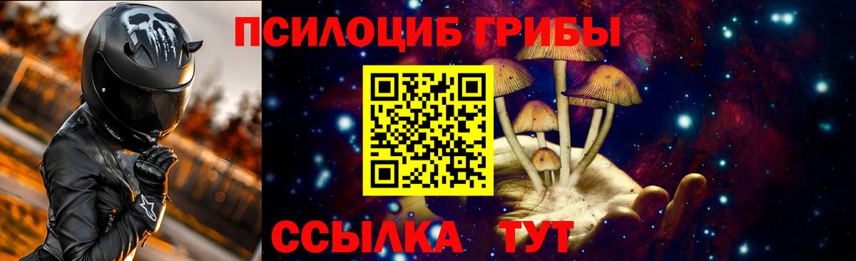 Псилоцибиновые грибы Psilocybe  Вход с VPN  Пугачёв 